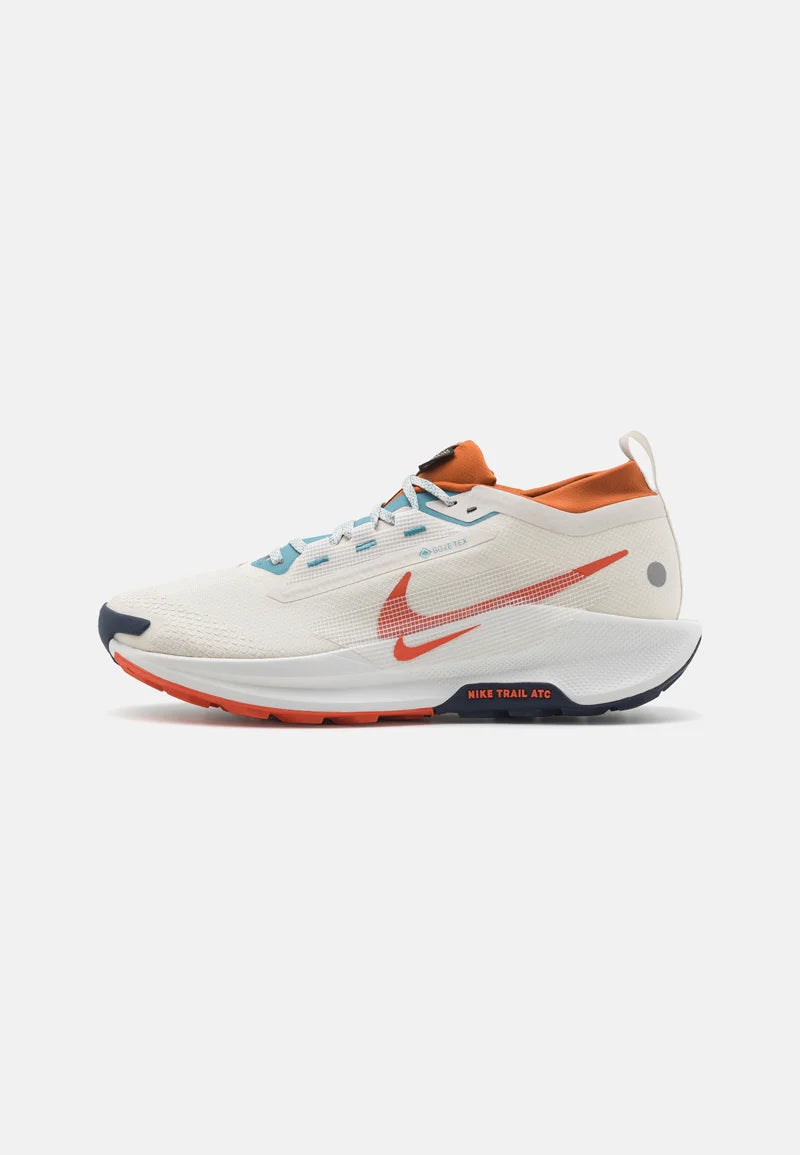 Nike ReacTX Pegasus 5 GTX