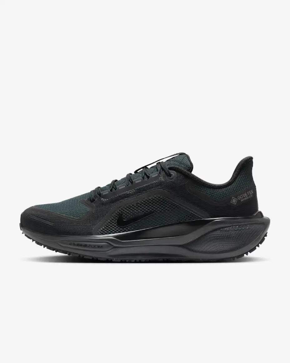 Nike Pegasus 41 GORE-TEX