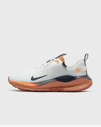 Nike REACTX INFINITY RN 4 GTX DNU