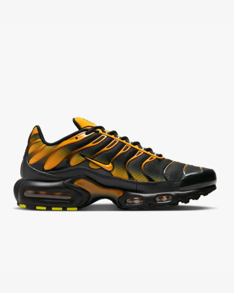 Nike Air Max Plus