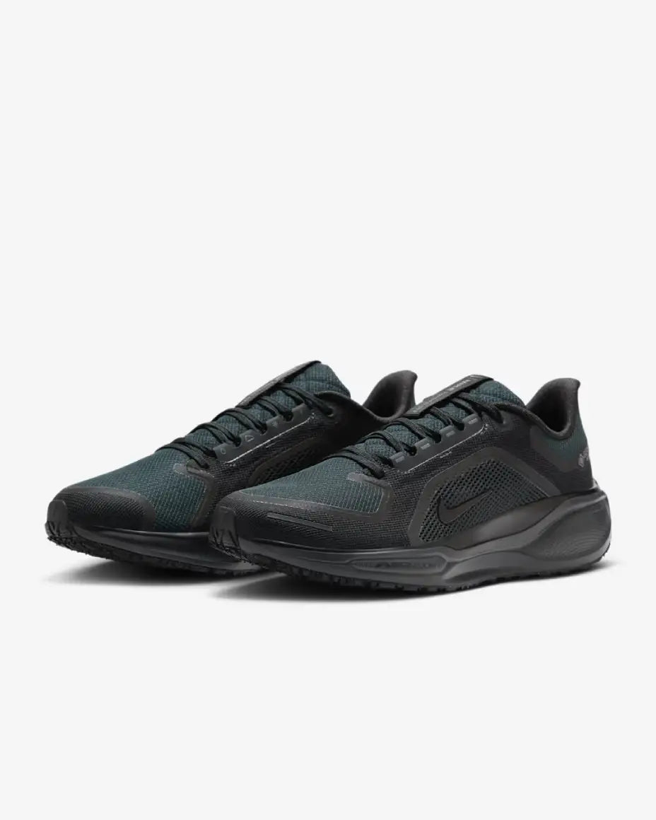 Nike Pegasus 41 GORE-TEX