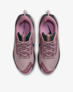 Nike Pegasus Trail 5 (W)