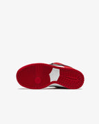 Nike SB Dunk Low Pro