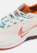 Nike ReacTX Pegasus 5 GTX