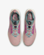 Nike Pegasus Trail 5 GORE-TEX (W)