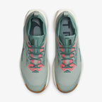 Nike Pegasus Trail 5 GORE-TEX