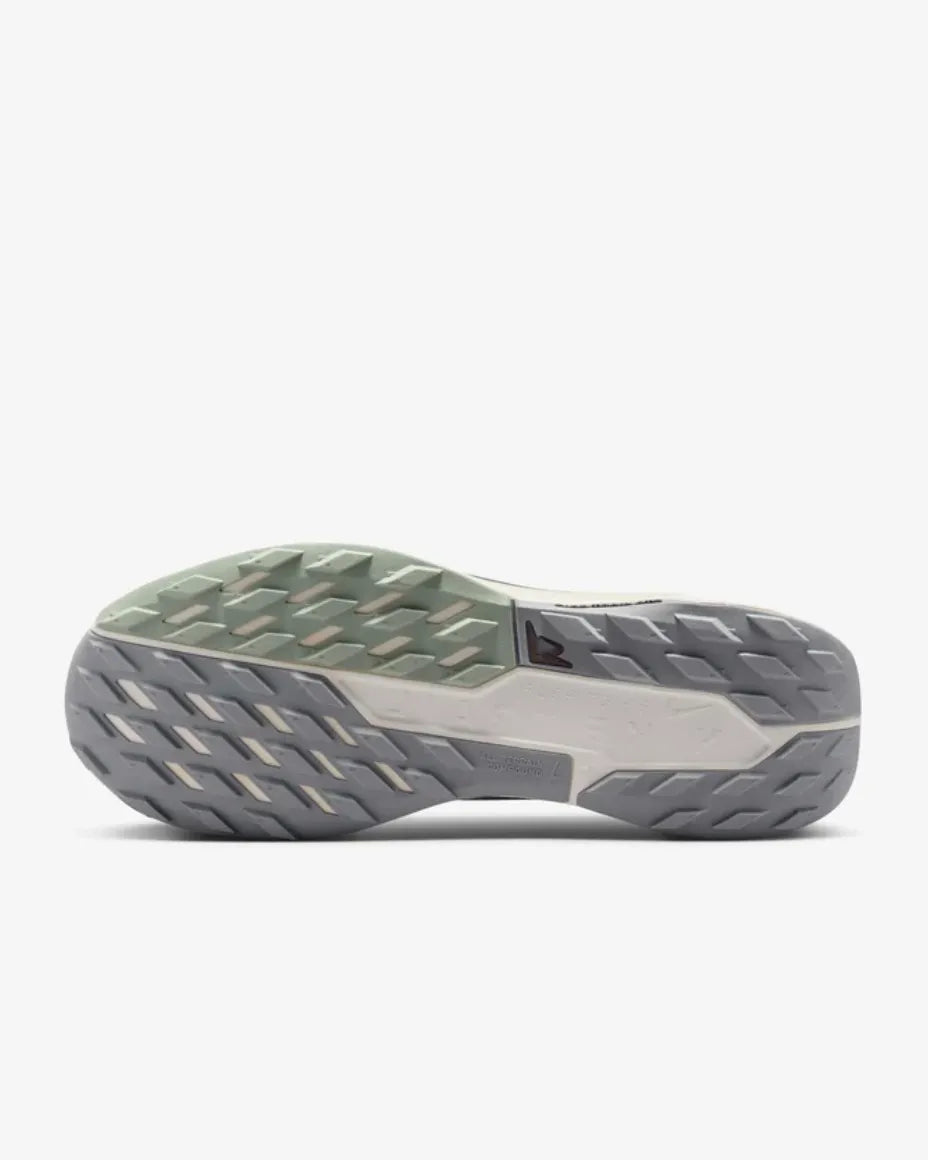 Nike Pegasus Trail 5 GORE-TEX