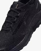 Nike Pegasus Trail 5 GORE-TEX