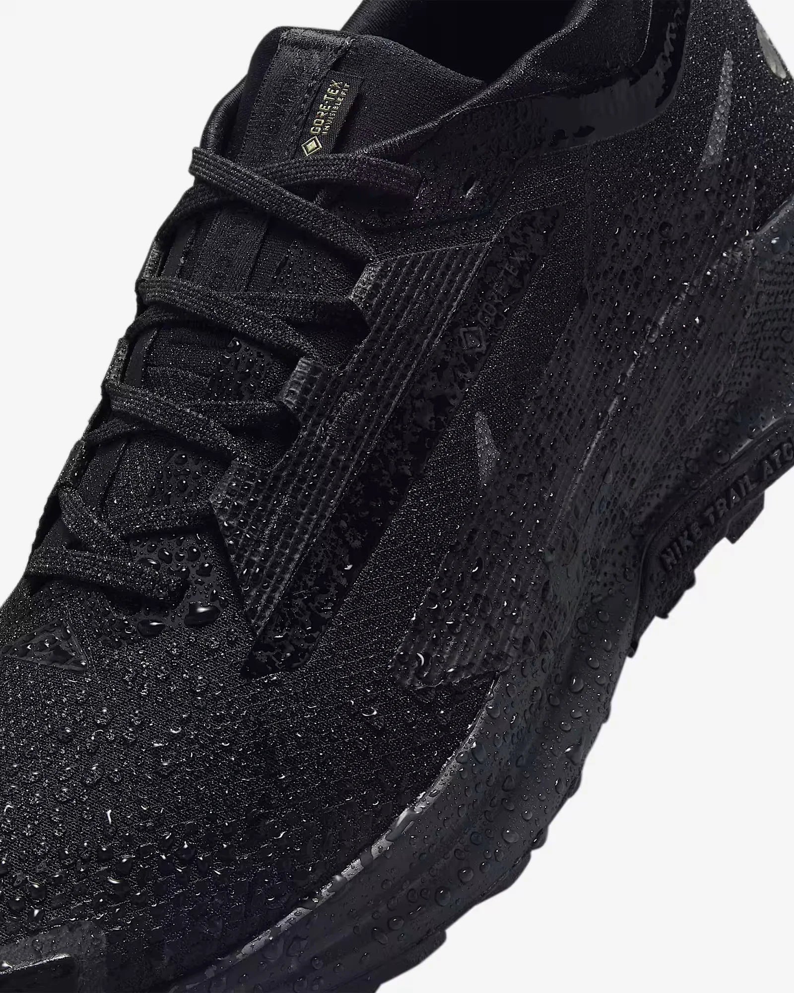 Nike Pegasus Trail 5 GORE-TEX