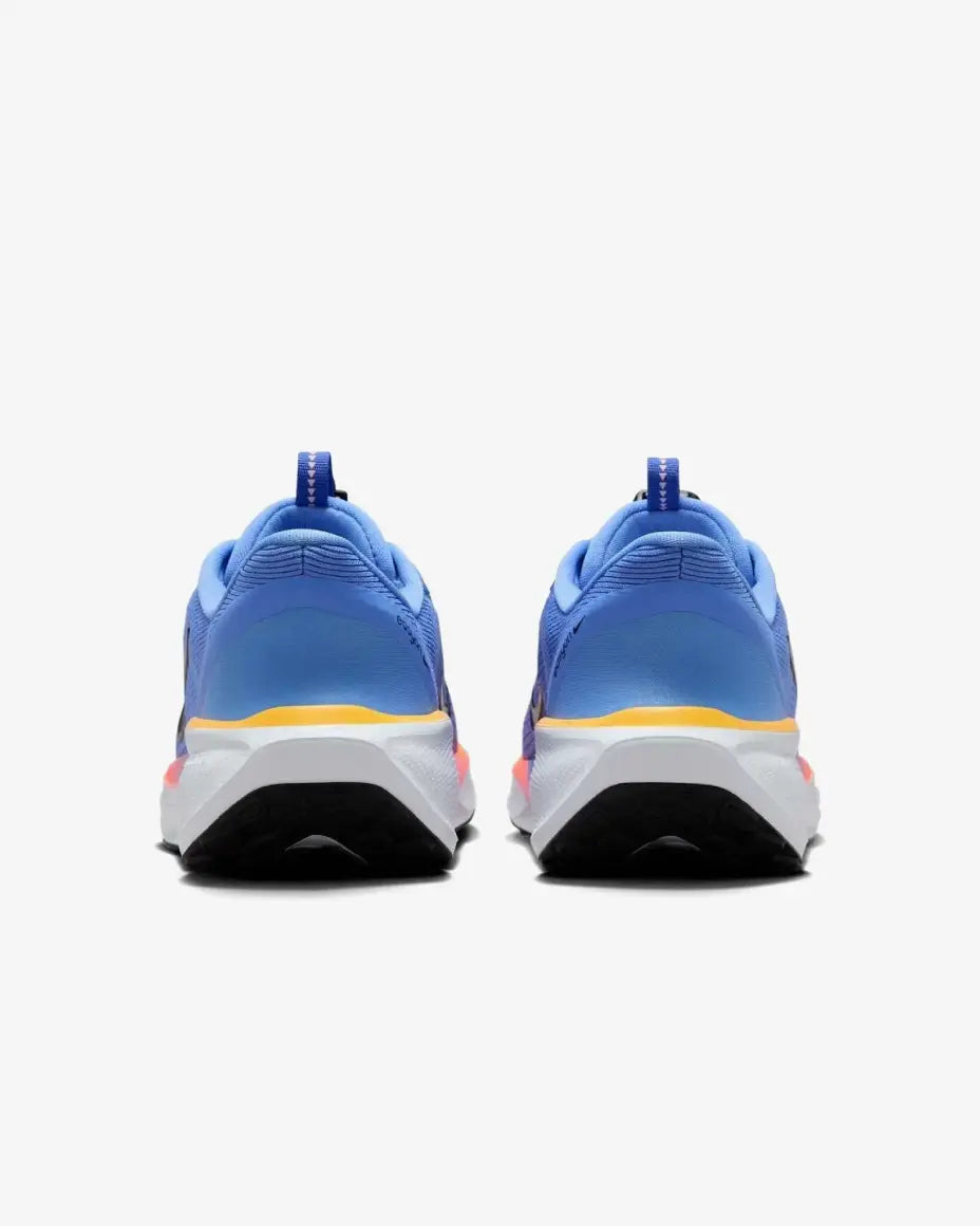 Nike Air Zoom Pegasus 41 EasyOn