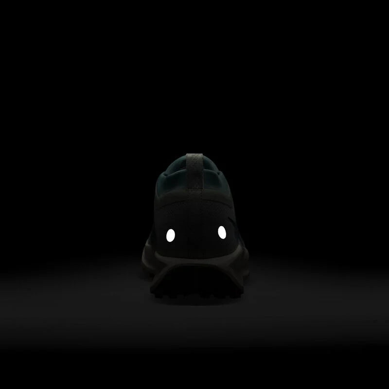 Nike Pegasus Trail 5 GORE-TEX